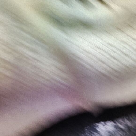 Dolce Vita Cream Knit Sneakers with Ribbed Sole - Picture 6 of 6